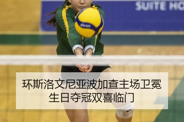 huan-si-luo-wen-ni-ya-bo-jia-cha-zhu-chang-wei-mian-sheng-ri-duo-guan-shuang-xi-lin-men-2-872.jpg