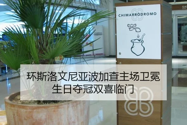 环斯洛文尼亚波加查主场卫冕 生日夺冠双喜临门